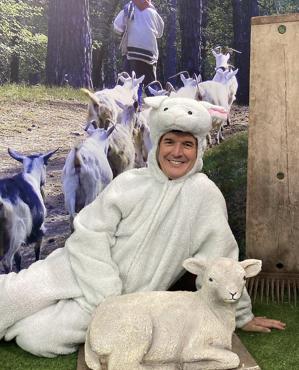 Bom domingo 🐑
