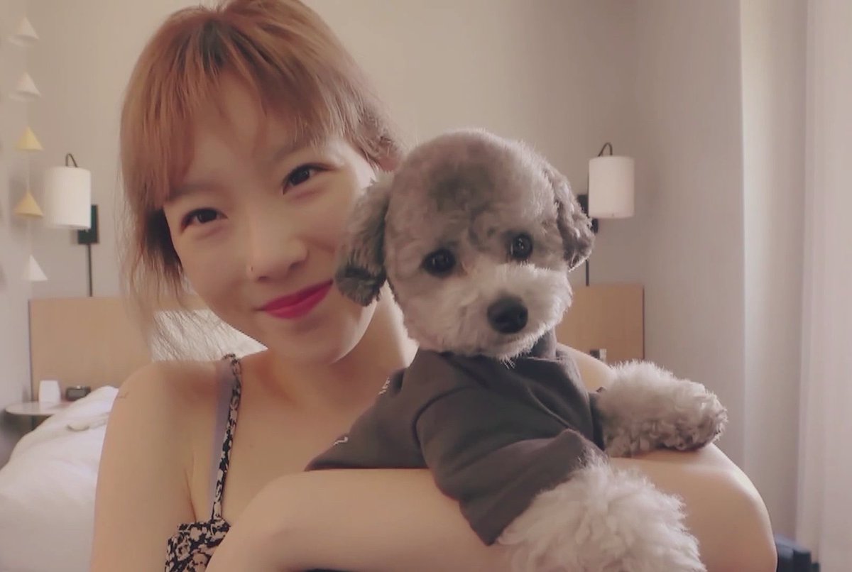 taeyeonfile's tweet photo. missing them a lot 🥹 https://t.co/wv6TkaBPBy