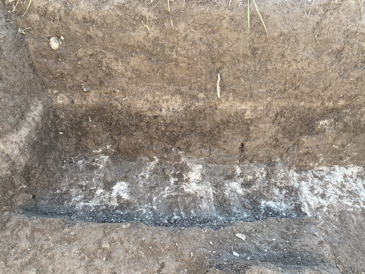 schogan310's tweet photo. Buried soils, chalk streams and mesolithic flints. A great weekend spent in glorious sunshine working with volunteers out at @WickenFenNT with @LawrenceBillin8 @NatTrustArch @ColinCo12699391 @oatweet and Dr Steve Boreham https://t.co/jWZlCpFhpL