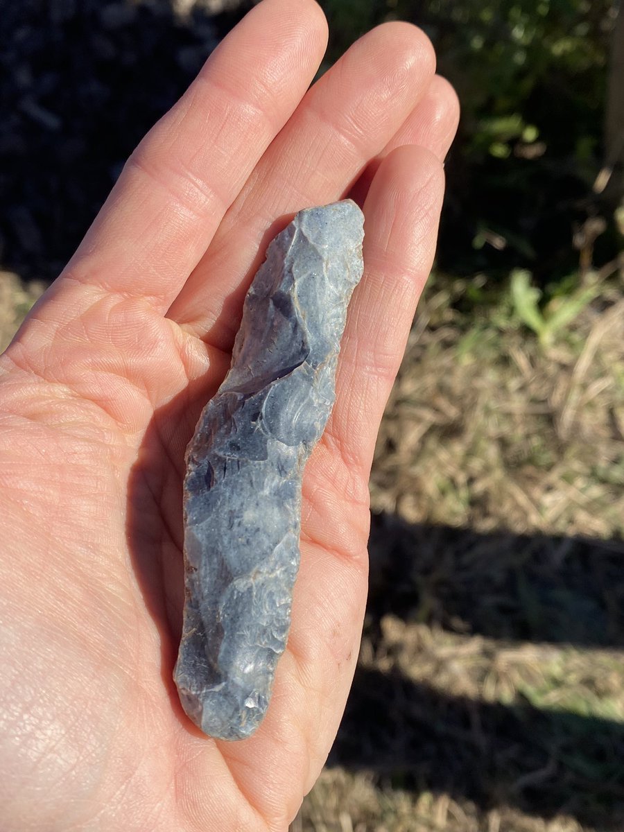 schogan310's tweet photo. Buried soils, chalk streams and mesolithic flints. A great weekend spent in glorious sunshine working with volunteers out at @WickenFenNT with @LawrenceBillin8 @NatTrustArch @ColinCo12699391 @oatweet and Dr Steve Boreham https://t.co/jWZlCpFhpL