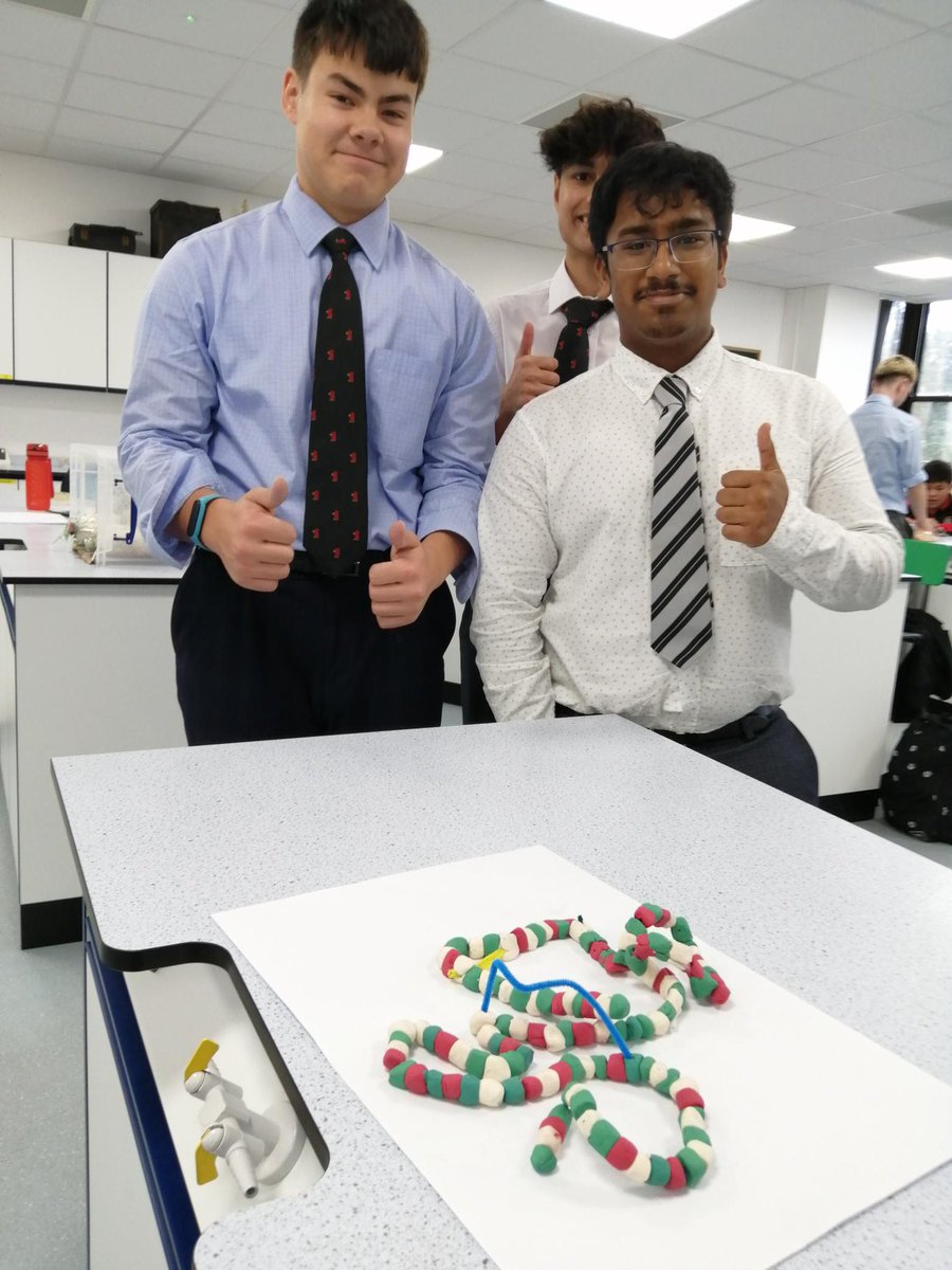 Biology_NHS's tweet photo. Year 12 Biology students took on Mr Hipkiss' challenge of constructing an accurate 3D protein model based on their understanding of protein structure, and some very specific biochemical criteria. https://t.co/ZaWKMNSOjs