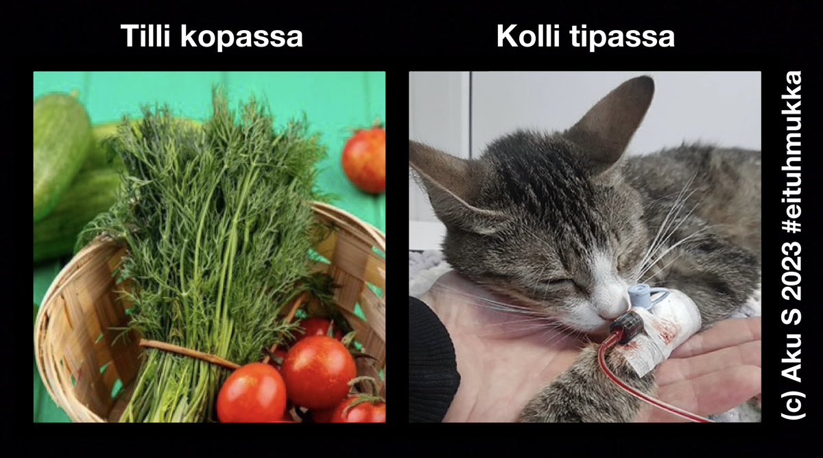 #eituhmukka tulee, oletko valmis 🤗