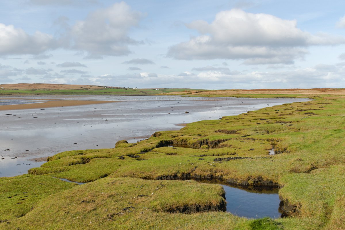featherytravels's tweet image. Loch Gruinart this afternoon.

#IsleOfIslay #InnerHebrides