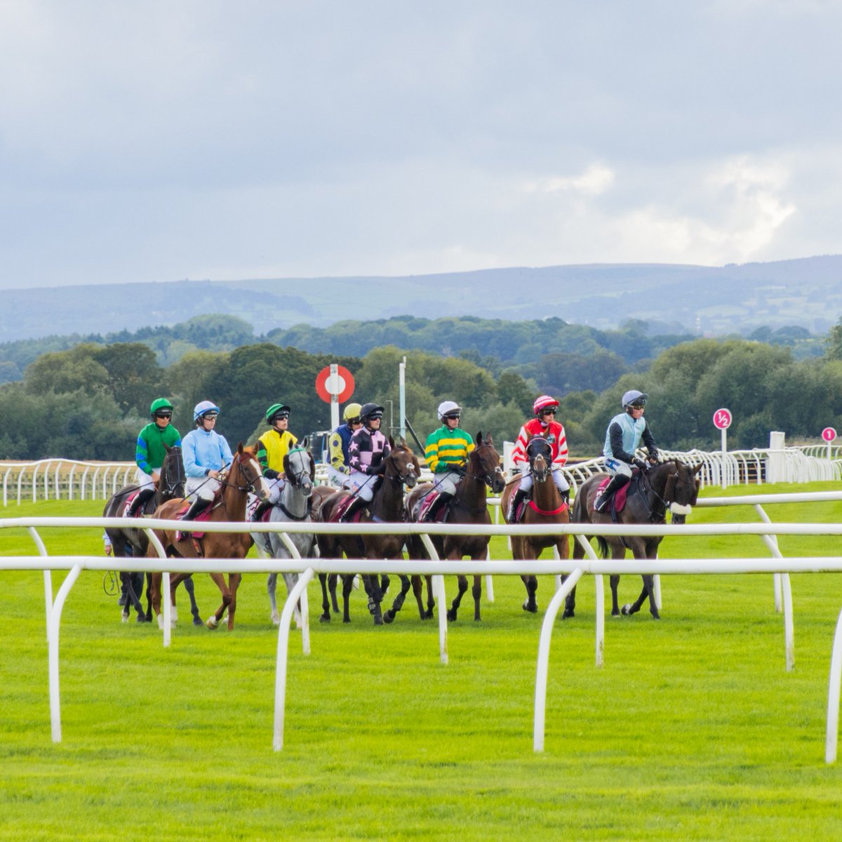 What's included in our £30 Punters Package? 🎟️Paddock Enclosure admission 🍴Fish & chips 📖Racecard 🍷Drink voucher Book your package & make a 25% saving today💰 Get yours today👇 bit.ly/46pvEN3