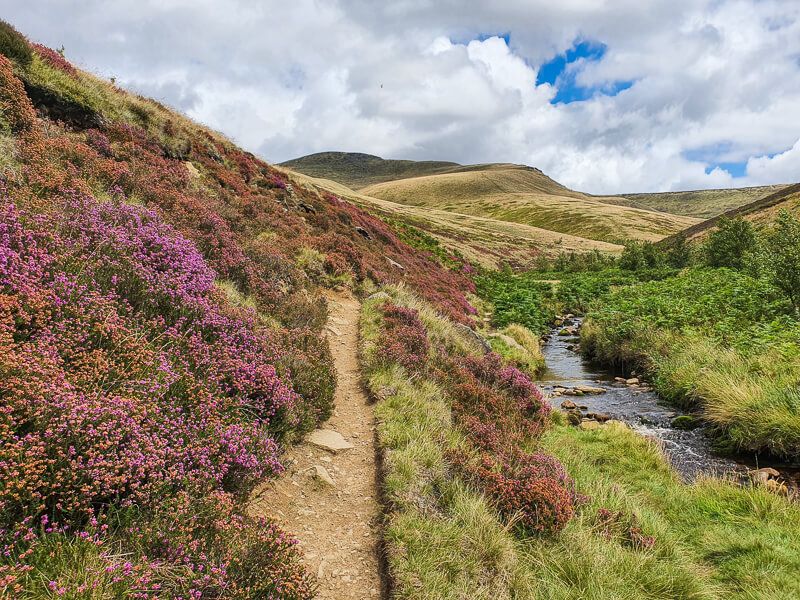 PeakDistrictWks's tweet photo. Time for a 14-mile leg stretch! Have you checked out this corker of a route from the Snake Pass up to Higher Shelf Stones? Such variety on this hike, I love it! Full walk instructions, maps and GPX can be found here -
https://t.co/lcdiKxWufl
#PeakDistrict #Hiking https://t.co/OlkZSFcNAY