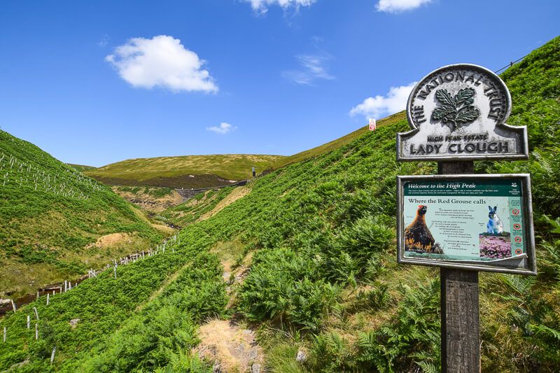 PeakDistrictWks's tweet photo. Time for a 14-mile leg stretch! Have you checked out this corker of a route from the Snake Pass up to Higher Shelf Stones? Such variety on this hike, I love it! Full walk instructions, maps and GPX can be found here -
https://t.co/lcdiKxWufl
#PeakDistrict #Hiking https://t.co/OlkZSFcNAY