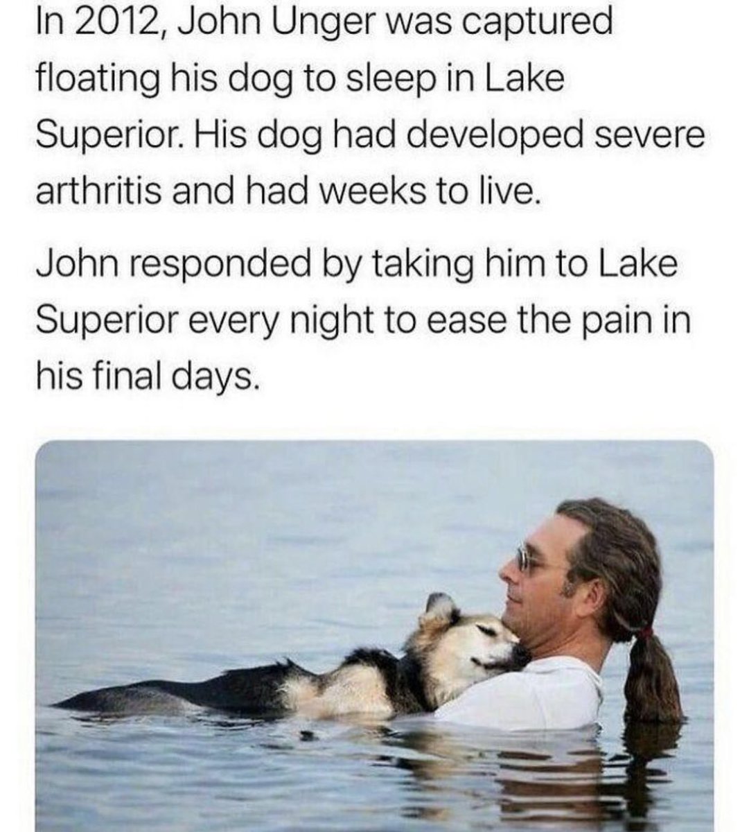 David Eseosa tweet media