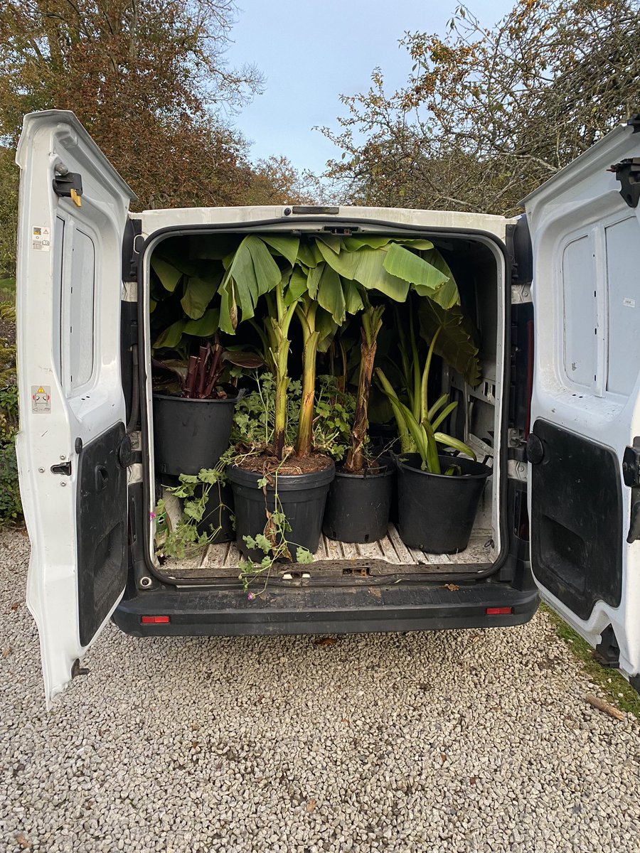 The banana bus is loaded