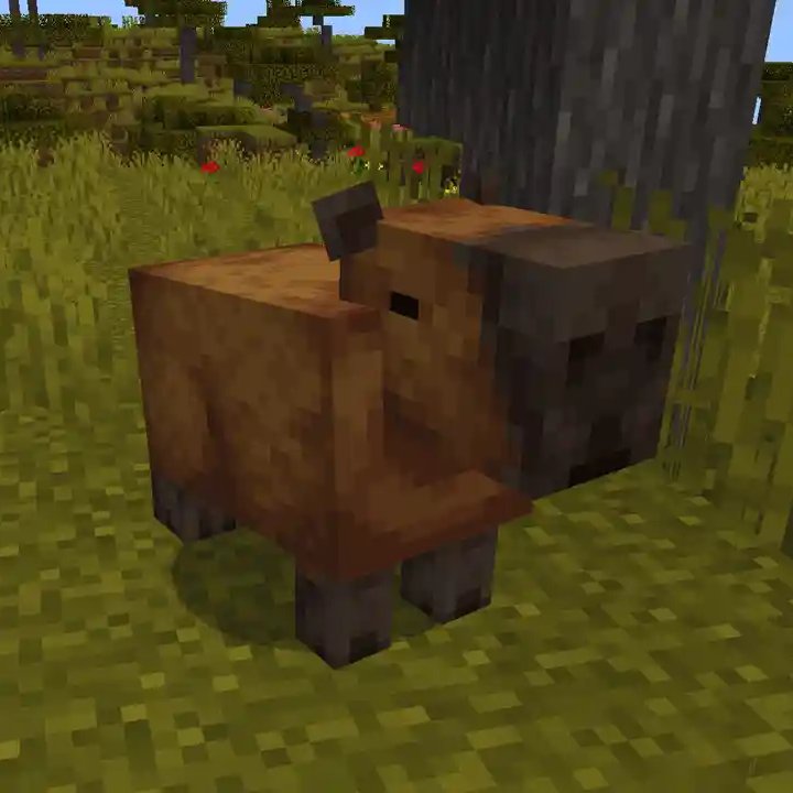LaPilar9's tweet photo. El verdadero mod que tenia que haber ganado https://t.co/0MnHEiQ5m4