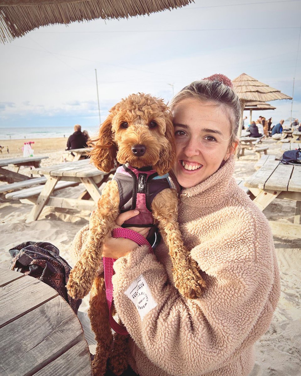 Afternoon beach stomp with good friends and 11 well behaved hounds 🐾💗😇 #reset #weekenddowntime