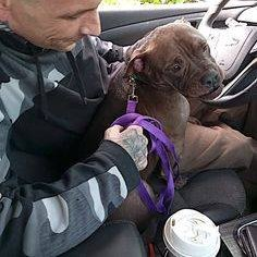 Keith Olbermann's Dogs tweet media