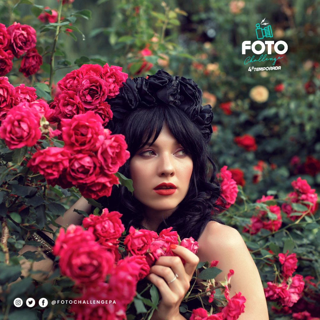 📌Las flores ofrecen una amplia gama de posibilidades creativas. 

Puedes experimentar con la composición, la profundidad de campo y la iluminación para destacar los detalles únicos de cada flor.📸

#FotoChallengePa jueves a las 8:00 pm en el canal de Youtube de Telemetro.