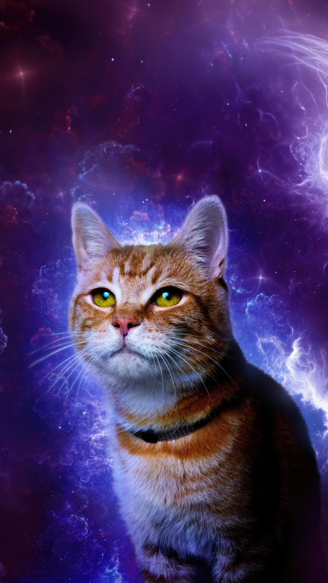 hdqwalls's tweet image. (Thread 1/2 )The Marvels New Exclusive Posters

Textless Desktop And Mobile Customs
#movies #posters #textless #custom #posters #4k #wallpapers #MarvelStudios #marvels #theatre 

Edited By : @hdqwalls

Complete Collection At : hdqwalls.com/the-marvels-wa…

@JumpTrailers @MarvelStudios