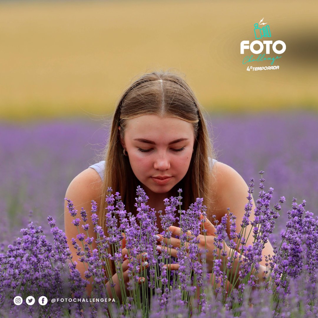 📌La fotografía de flores no se limita al jardín. Puedes encontrar estas joyas naturales en campos, bosques y mercados locales, lo que te brinda oportunidades infinitas para explorar. 📸

#FotoChallengePa jueves a las 8:00 pm en el canal de Youtube y Twitch de Telemetro.