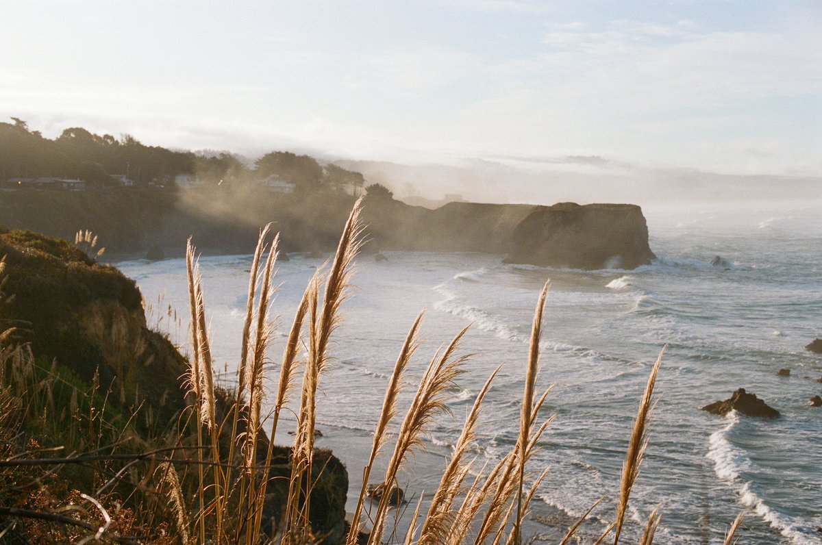 jakob_lr's tweet photo. West coast on Portra 400 https://t.co/JvkOR6SiN4