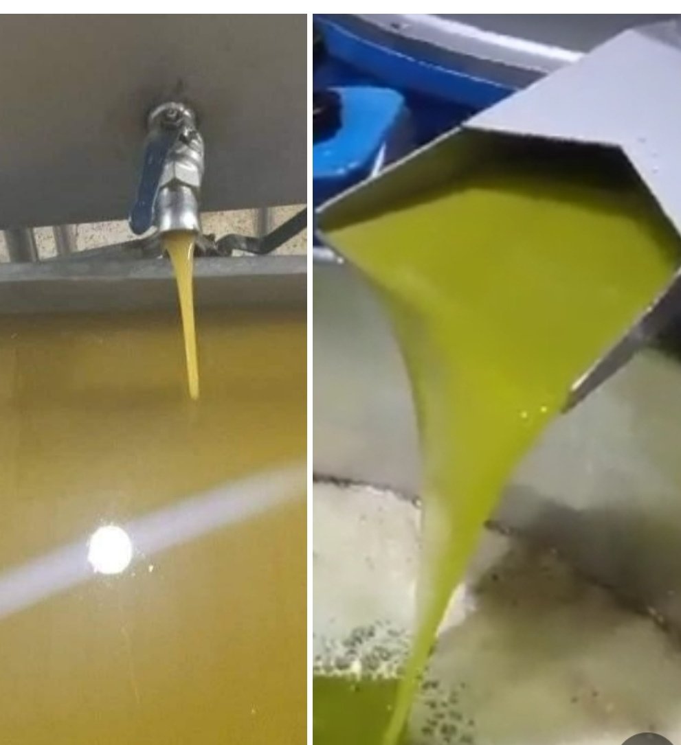 Diferencia entre un buen aceite de oliva español y otro de un tercer país.