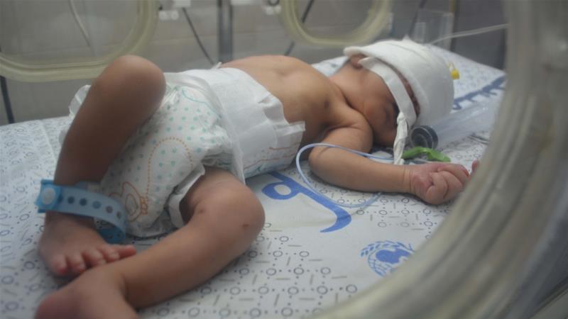 Rafael_Narbona tweet media