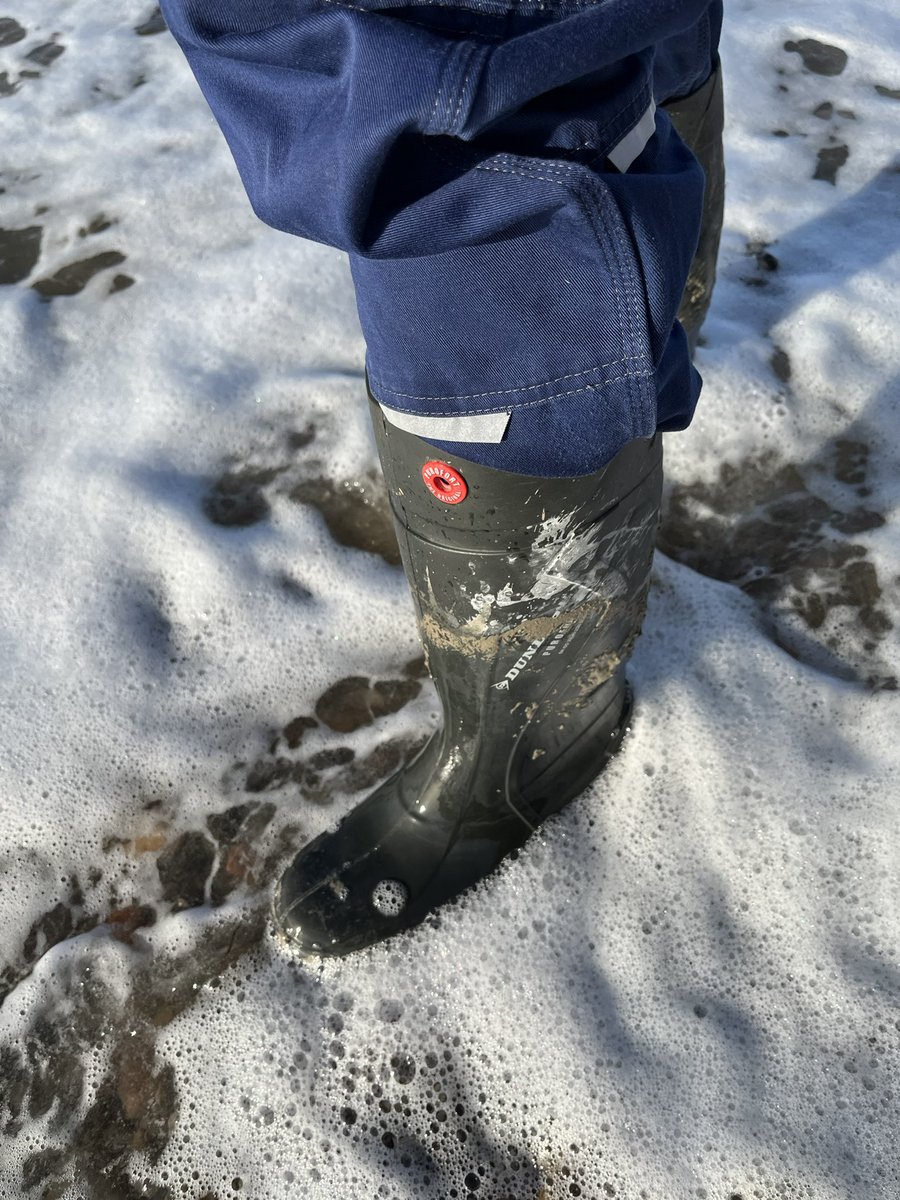 NorabootsDK tweet media