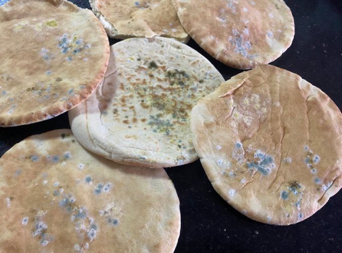 No electricity 
No Food
No Internet
No Water
No medicine
No healthcare system

The genocide in Gaza is happening and getting worse every single second

No one in this world can stop the criminals ???!!

 #OpenRafahCrossing
 #OpenRafahCrossing
 #OpenRafahCrossing