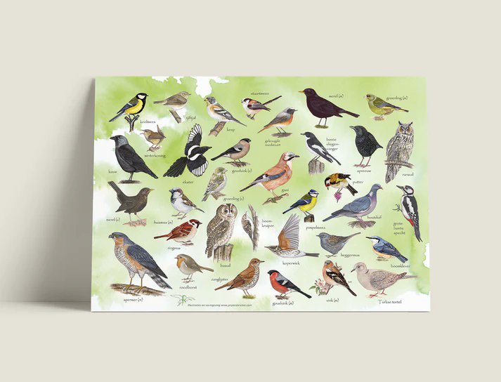 Jaspertringa's tweet photo. Nieuwe placemats in het assortiment. Met deze placemats haal je de natuur in huis en kun je zelfs de tuinvogels en vlinders tijdens het eten leren herkennen. Hoe leuk is dat?
https://t.co/ms4thB0iPQ https://t.co/6rcWEogbTl
