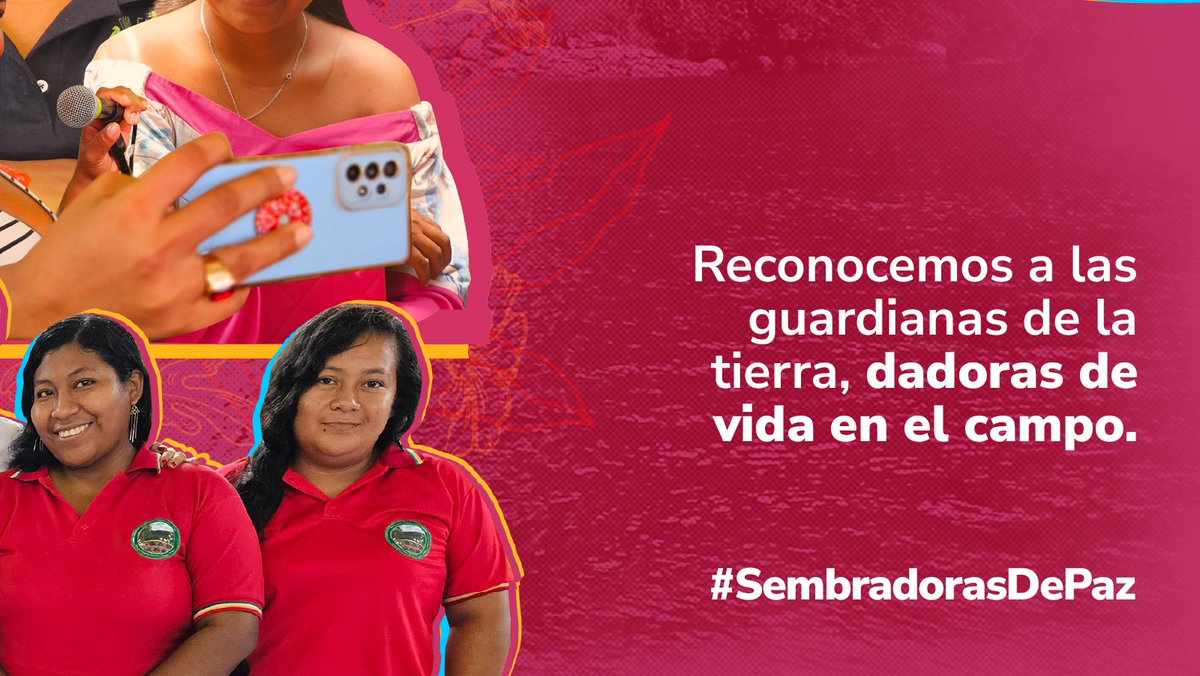 MinAgricultura's tweet photo. En el #DíaInternacionalDeLaMujerRural 👩‍🌾, conmemoramos a las mujeres que son el pilar fundamental para la seguridad alimentaria y el desarrollo sostenible del país. La #MujerRural se siente en cada comida, y por eso honramos su fuerza y determinación. 💚
#SembradorasDePaz 🕊️ https://t.co/6gGKCt4rO5