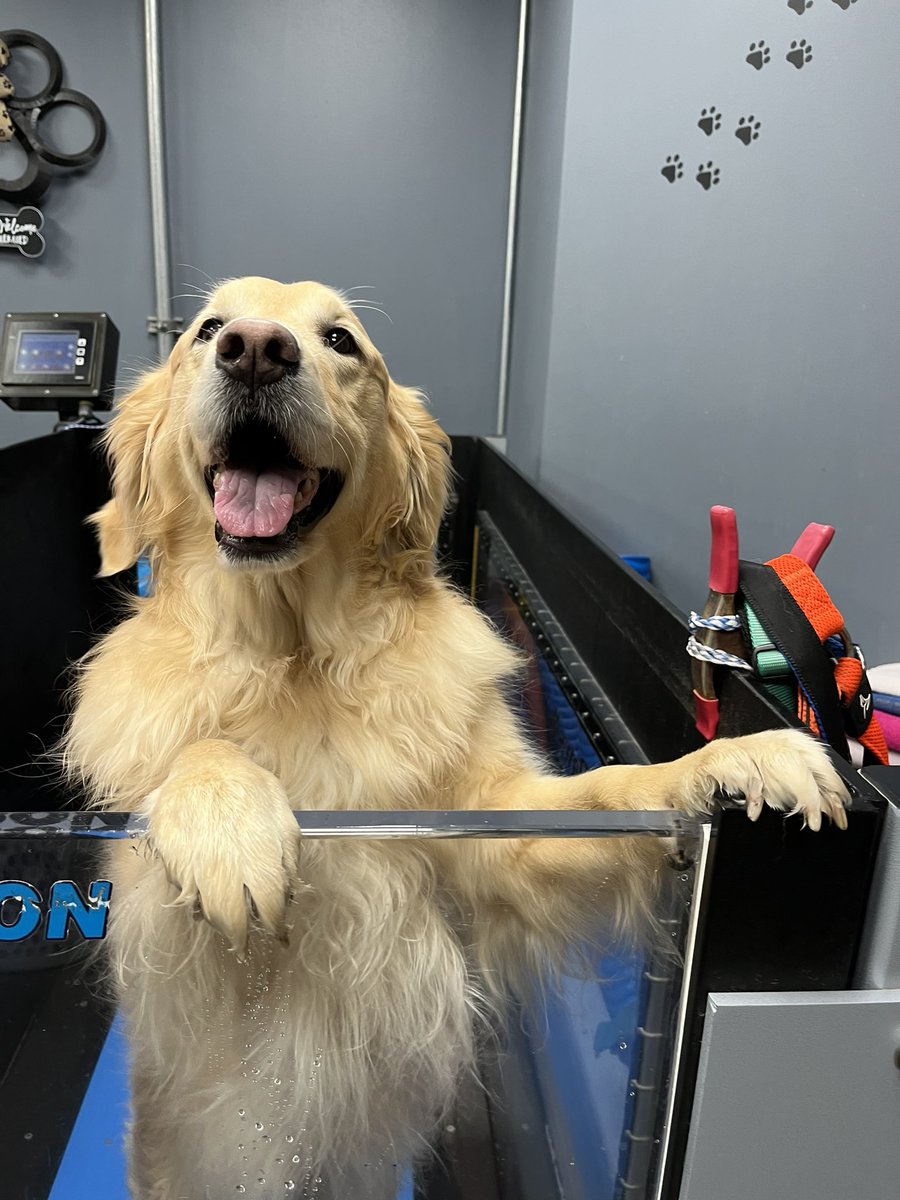 Happy May!
<a href="/GoldretrieverUS/">Golden Retriever Channel</a> 
#WeekendSmiles