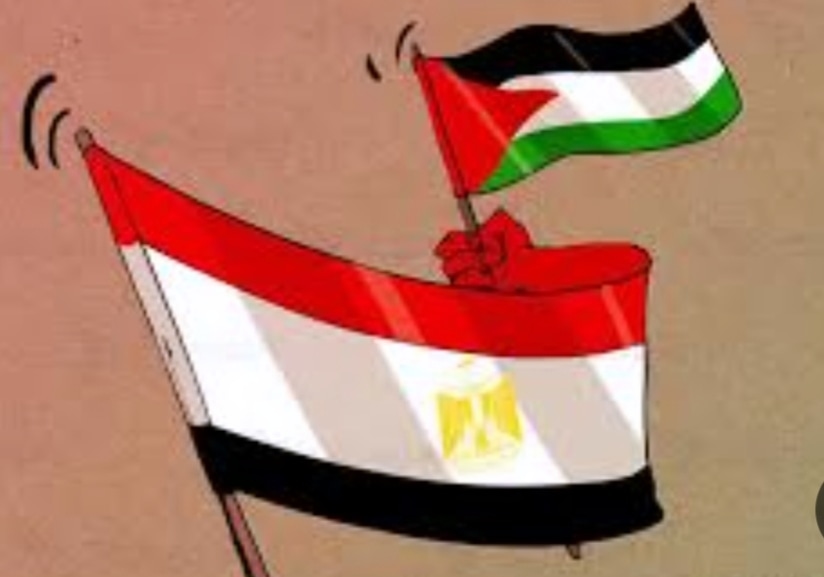 د / يحيى أبو طالب tweet media