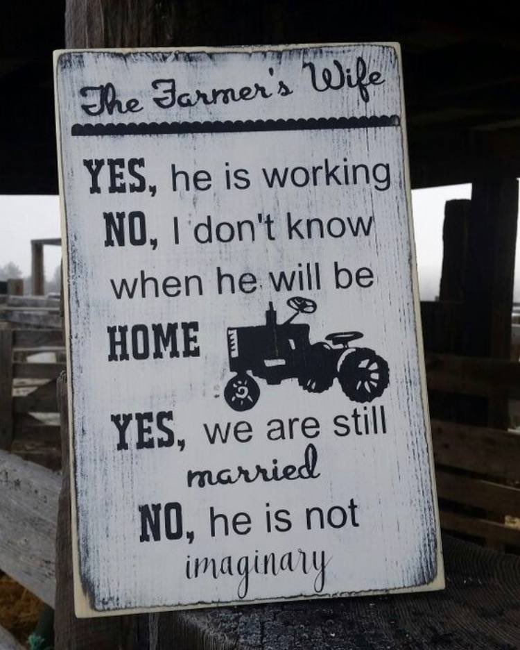DaysofNoahGen6's tweet photo. 😂 

#FarmingHumor https://t.co/MHjjjLnfSP