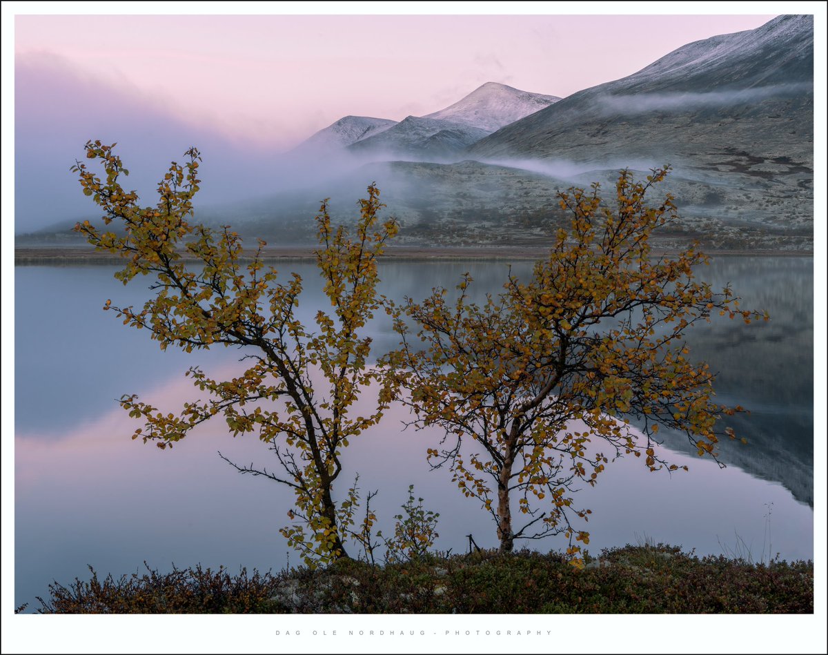 Morning pastel. Rondane, Norway. Sept 2023.