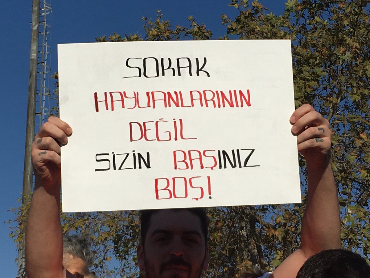 Victim Victor tweet media