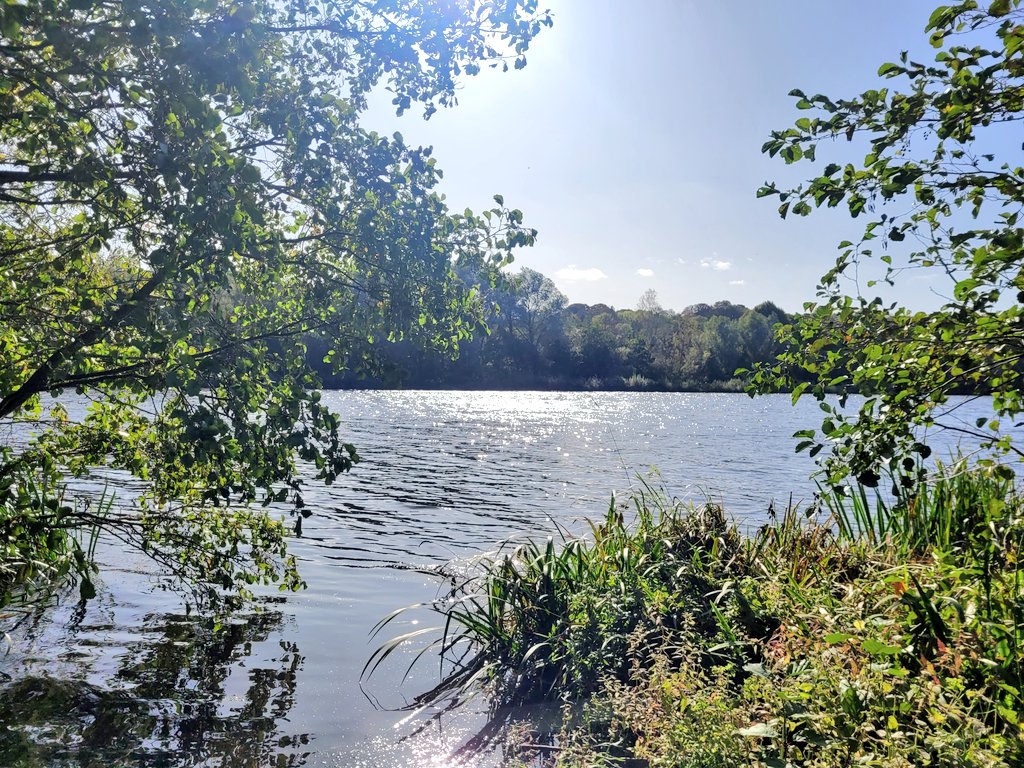 Running2staysa1's tweet photo. Whittlingham yesterday, let's not mention the parenting, demand reduction gymnastics it took to get them there & then round the broad... pictures show the nice 5% oh & the Swan taller than E that nibbled him 😉🤣 #norfolkbroads #family #walk #demandavoidance https://t.co/Zgv1Lz72aM