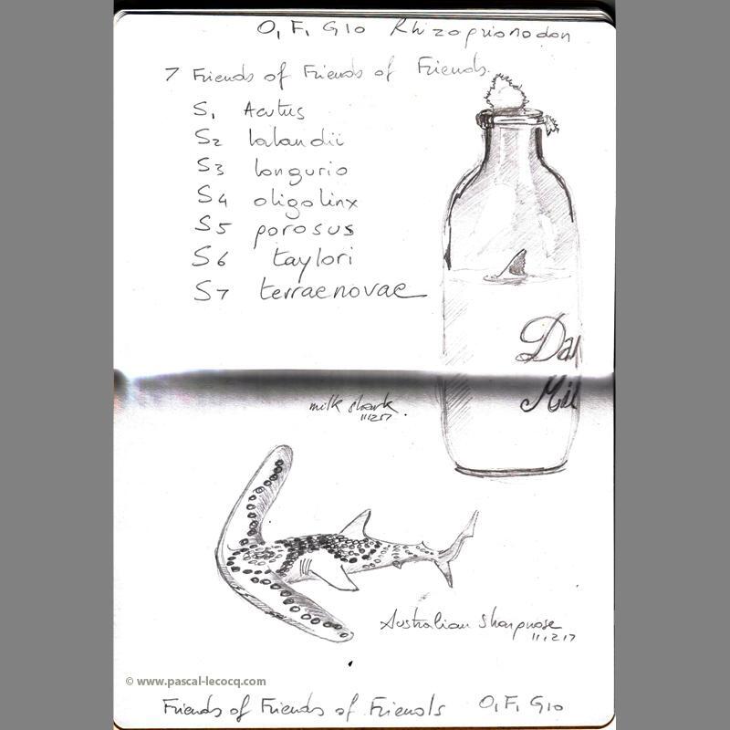 bluepainter's tweet image. Carnet Bleu: Encyclopedia of… shark, vol.2 (of 17 volumes) page 15 pencil on paper by Pascal Lecocq, The Painter of Blue Pascal Lecocq, 2011, lec850b15, former public coll. Brooklyn Art Library, NY. artist collection © pascal lecocq
#shark #sketchboo… instagr.am/p/Cya5y9ZNhWh/