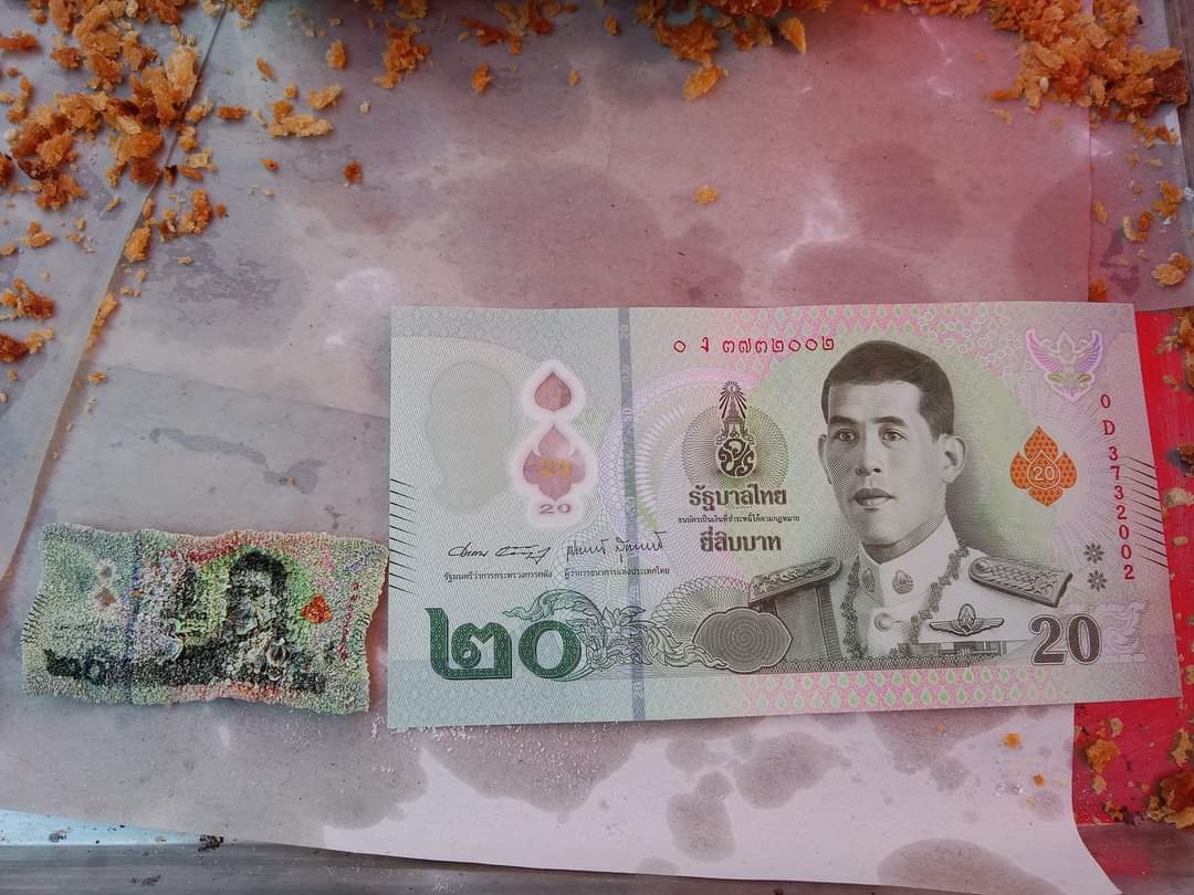 โอ้ยสงสารอ่ะ เขาทำแบงค์ยี่สิบตกลงไปในกระทะน้ำมัน แบงค์หดตัวเหลือติ๊ดเดียว สภาพกรอบเป็นข้าวเกรียบเลย