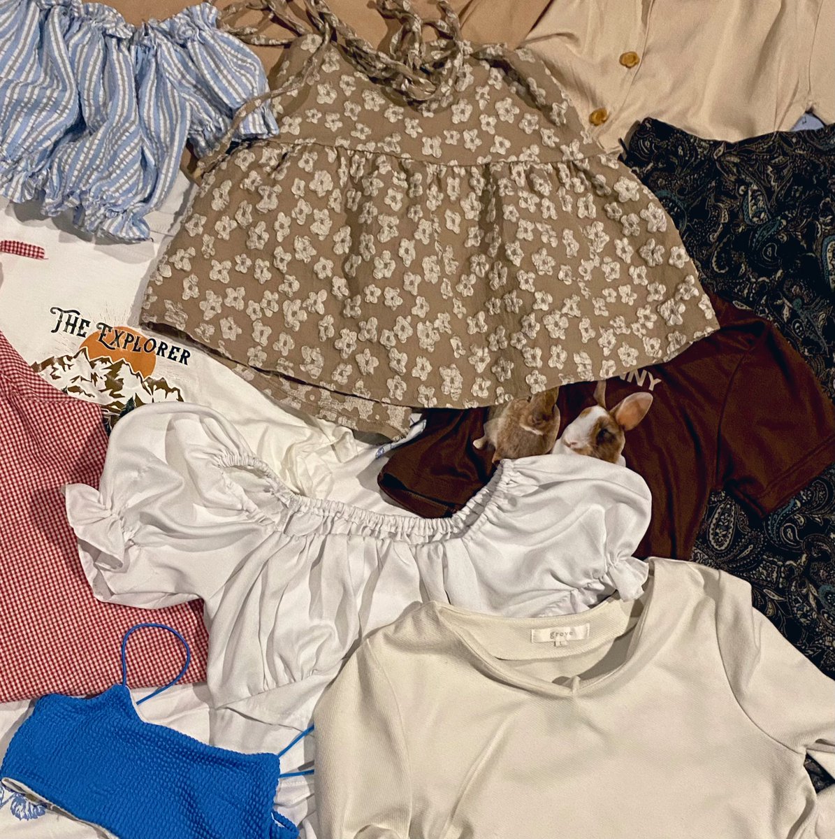 Phakkadeiei's tweet photo. 🍊ส่งต่อเสื้อผ้าของเค้าเองคับบ
ราคา 20-100 คับ ปล่อยถูกๆ

🛋️ลงวัน   พุธ 20.00

🍝ปัก/รี ลด  5 ฿
🍝ค่าส่งตัวเดียว  35 ฿  / หลายตัว 40 ฿

ทุกตัวใส่ไม่เกิน1-2ครั้งคับ🥹
ปักไว้ได้เลยคับ เดี๋ยวเค้ามาเรียก

#ส่งต่อเสื้อผ้า #ส่งต่อเสื้อผ้ามือสอง #ส่งต่อเสื้อผ้ามือสองราคาถูก https://t.co/5TrD0sKzIh