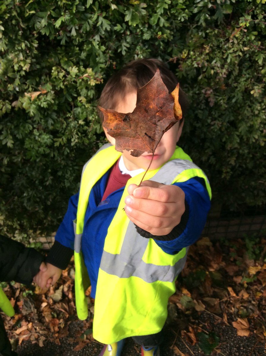 MelthamMoor's tweet photo. Reception enjoyed going on an Autumn walk around our local community. We loved talking about all the signs of Autumn we could see and we behaved amazingly! #MMReception #MMScience #MMGeography https://t.co/fkCGOhcp9f