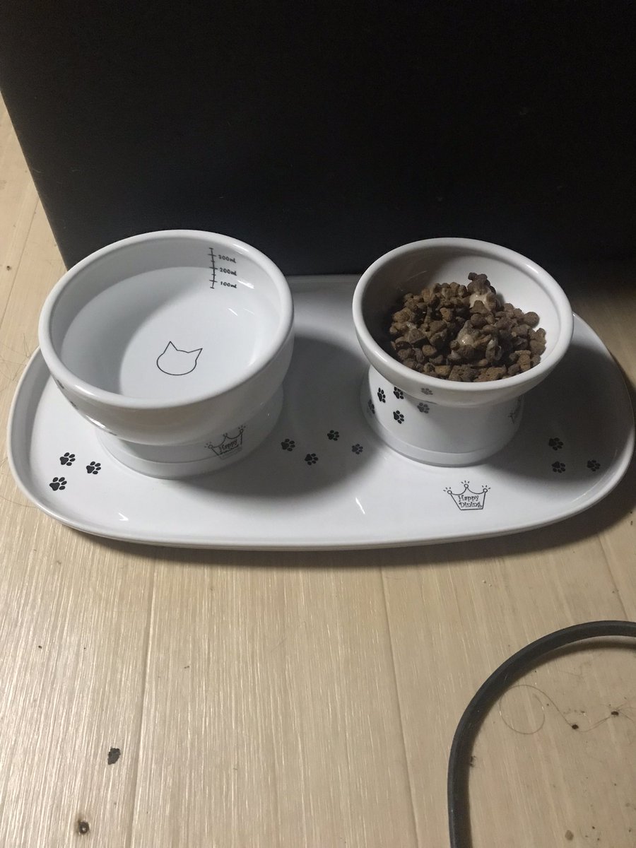magurogu_fun's tweet photo. やっと、ツナさんの食卓を新調することが出来ました。憧れのハッピーダイニング💕☕️
お水の量が測れるのはとてもありがたいです。 https://t.co/hBm19IEPUr