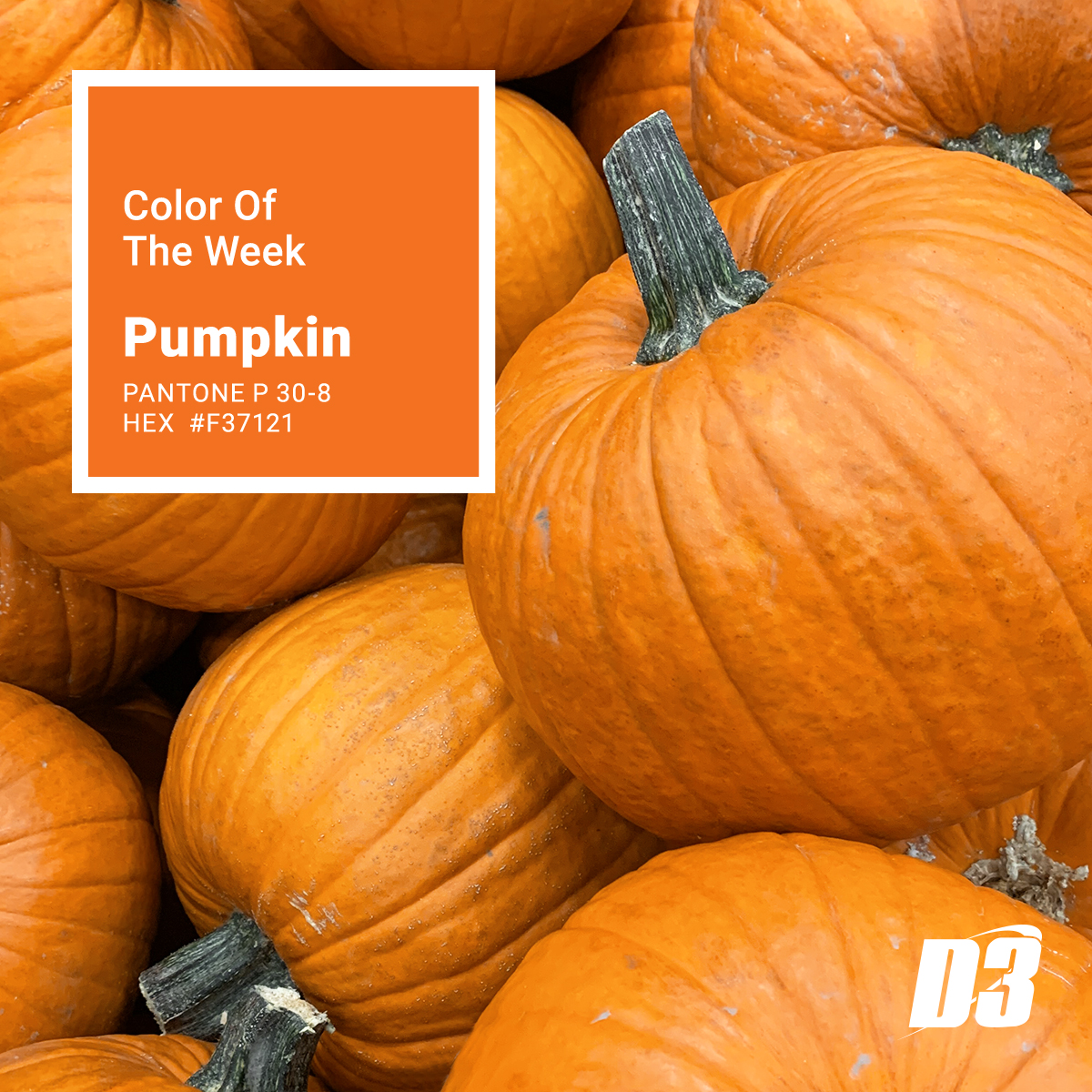 Have you selected your pumpkin yet! This week's color, Pumpkin, is sure to inspire a festive fall.