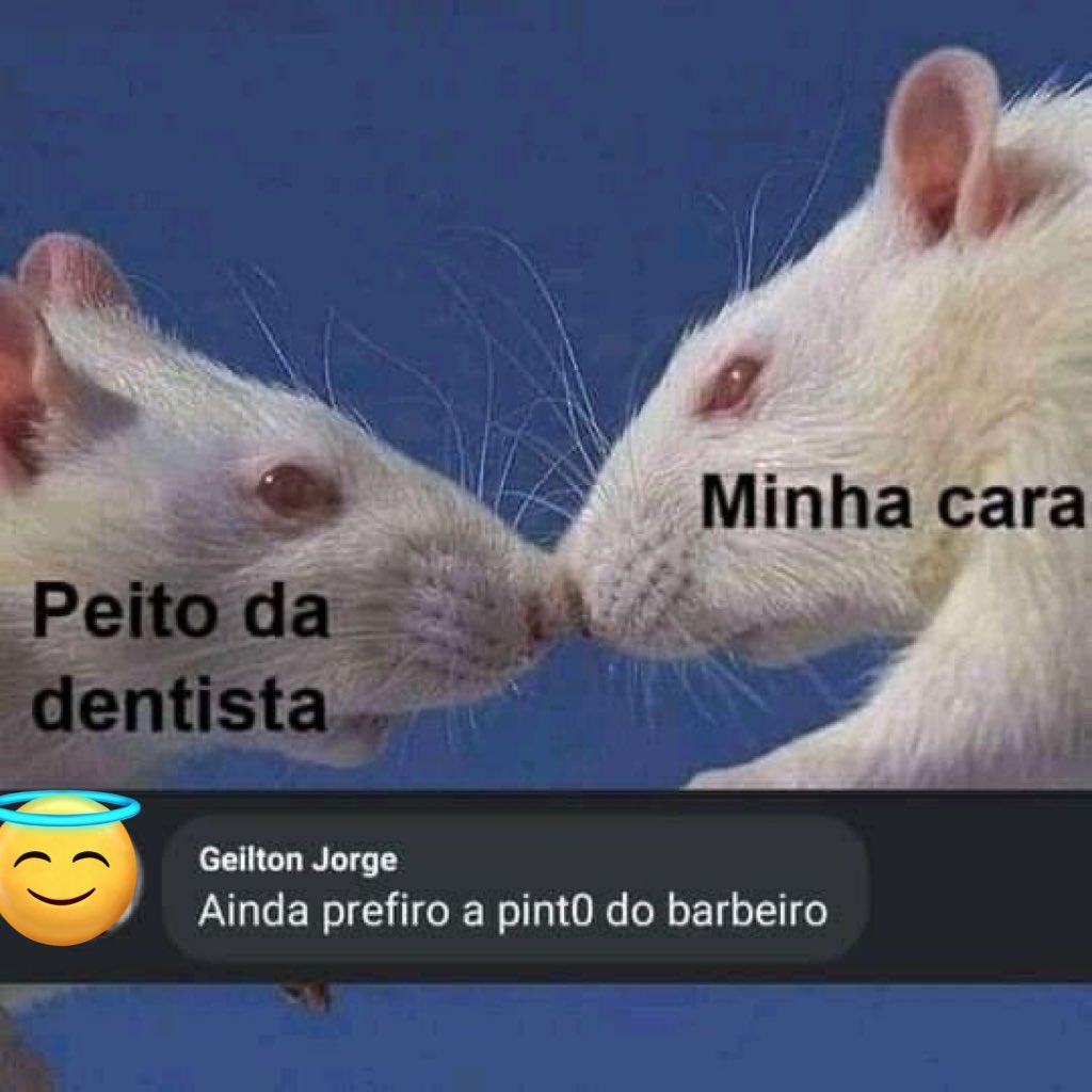 shitpostverdade's tweet image. 