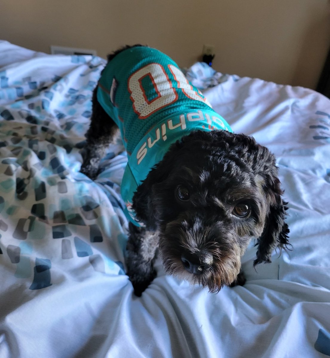 DBanta007's tweet photo. Dad....when does the game start? https://t.co/fFL6iBSy93