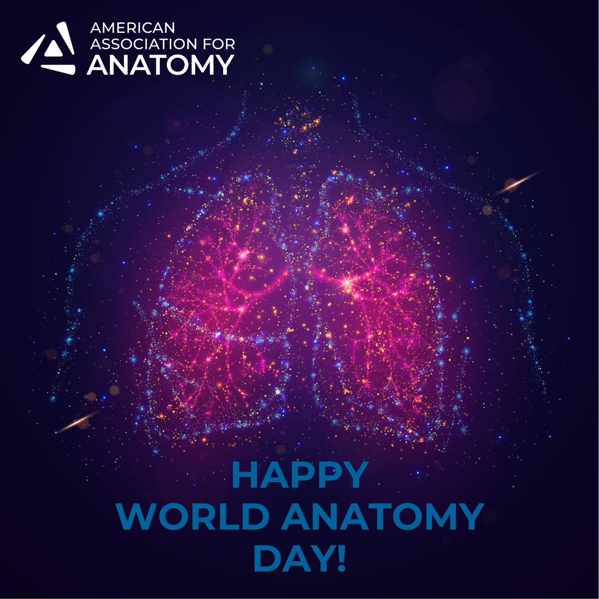 HAPPY WORLD ANATOMY DAY! World Anatomy Day is an occasion to celebrate the discipline of anatomy.

If you're interested in advancing anatomical science, JOIN AAA: ow.ly/yhNk50PSzEU

#Anatomy24 #anatomy #science #research #education #AAA #worldanatomyday