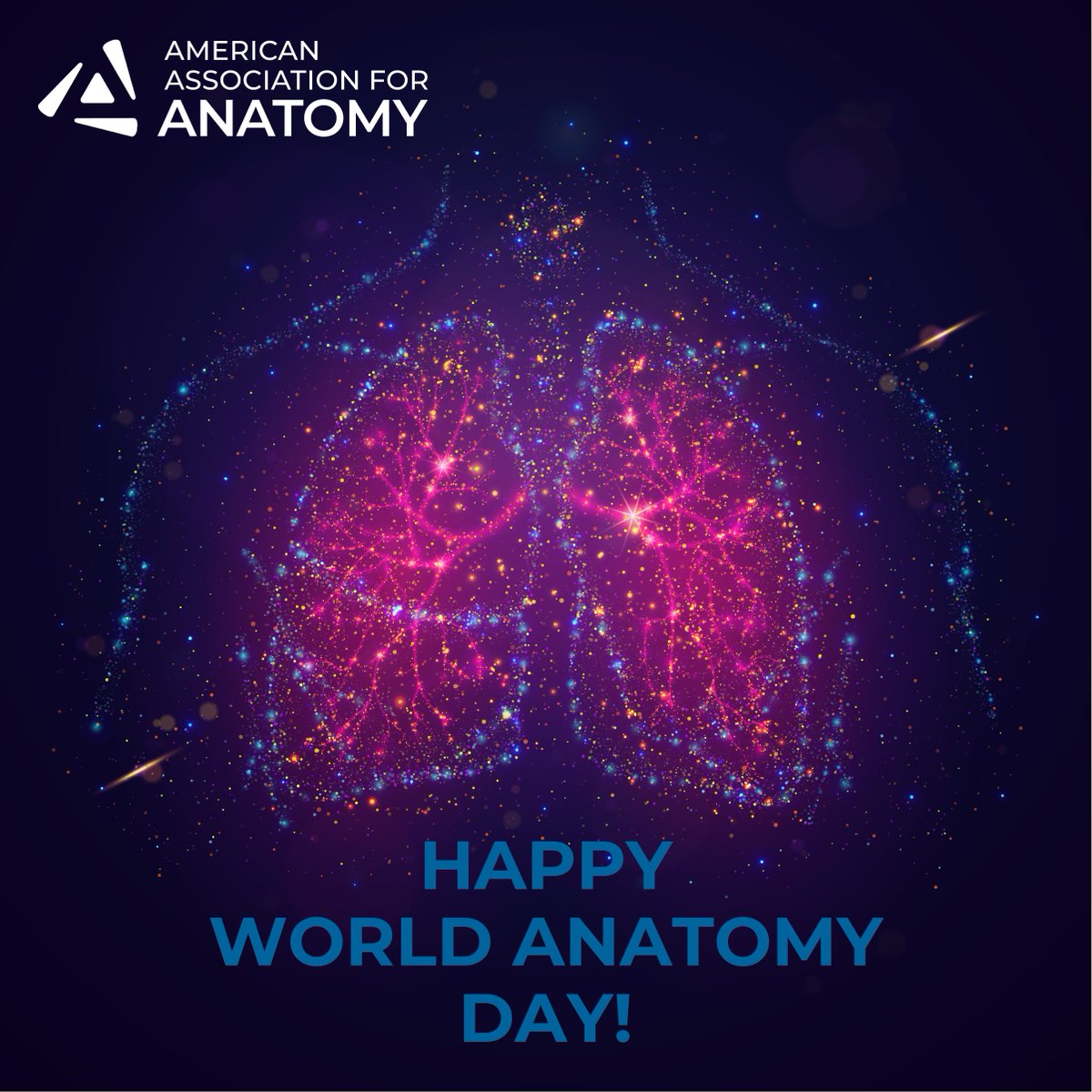 HAPPY WORLD ANATOMY DAY! World Anatomy Day is an occasion to celebrate the discipline of anatomy. If you're interested in advancing anatomical science, JOIN AAA: ow.ly/yhNk50PSzEU #Anatomy24 #anatomy #science #research #education #AAA #worldanatomyday