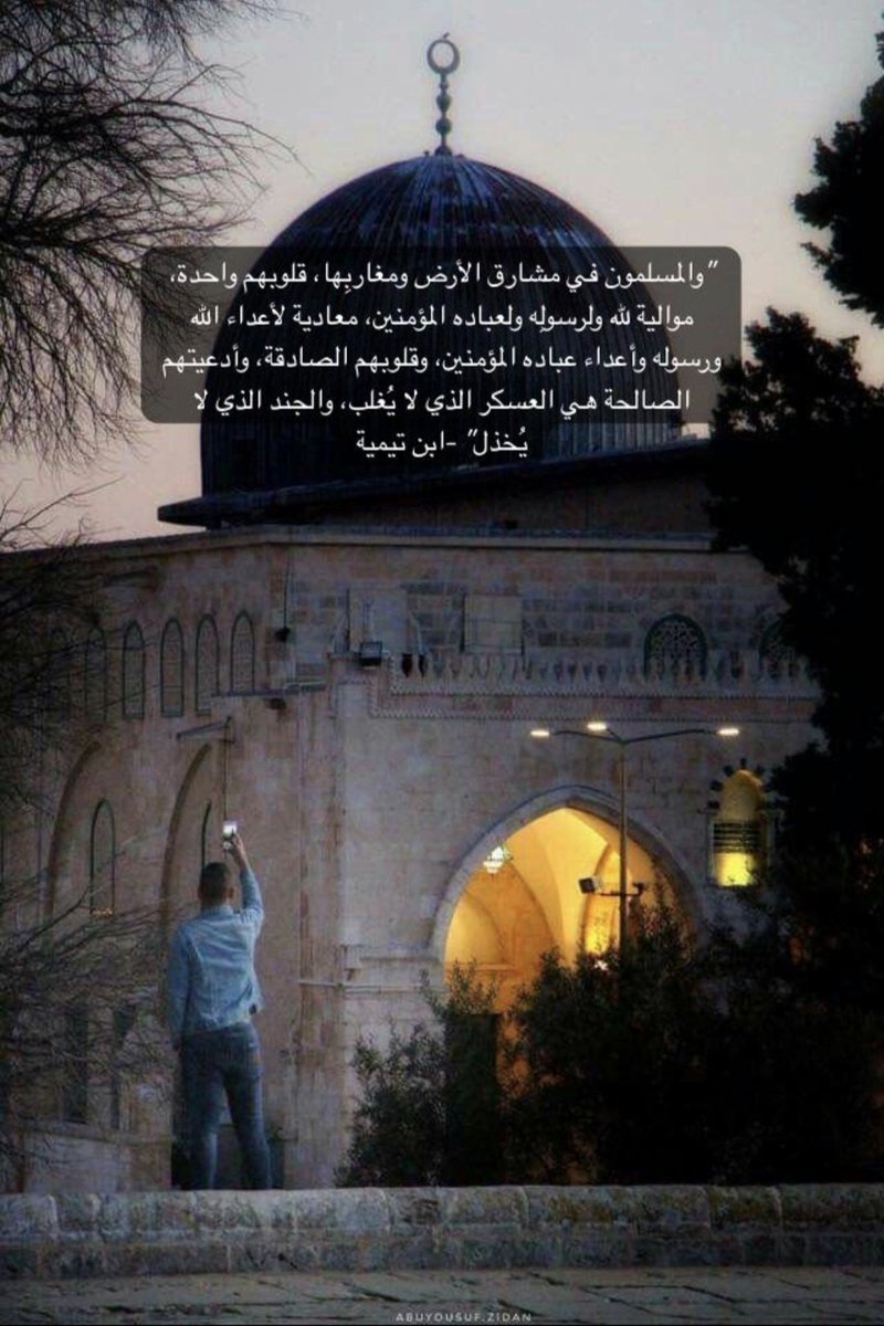 تهاني فيصل tweet media