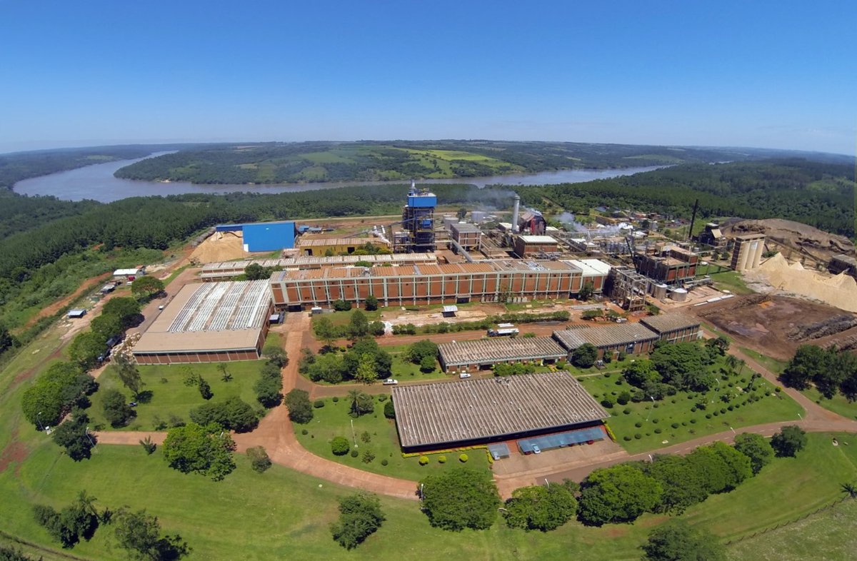 El turismo no está solo... En los últimos cuatro años Misiones sumó casi mil empleos forestales economis.com.ar/expansion-en-l…