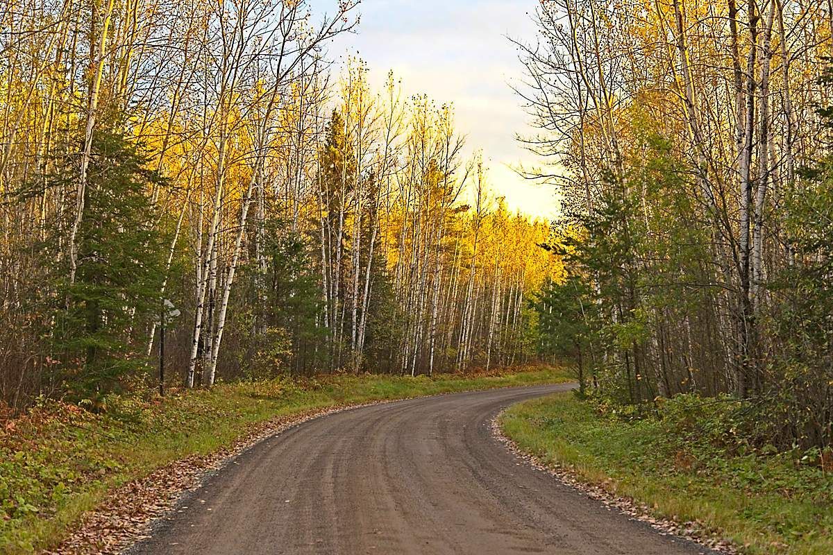 JoeMillerPhoto's tweet photo. Near the Gunflint Trail, Northern Minnesota. https://t.co/hfXzadfEu8