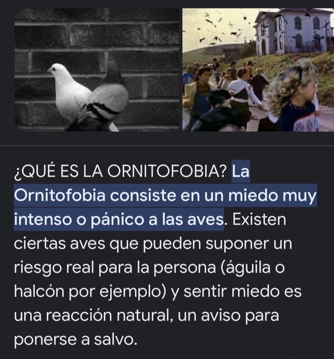 S+ tweet media