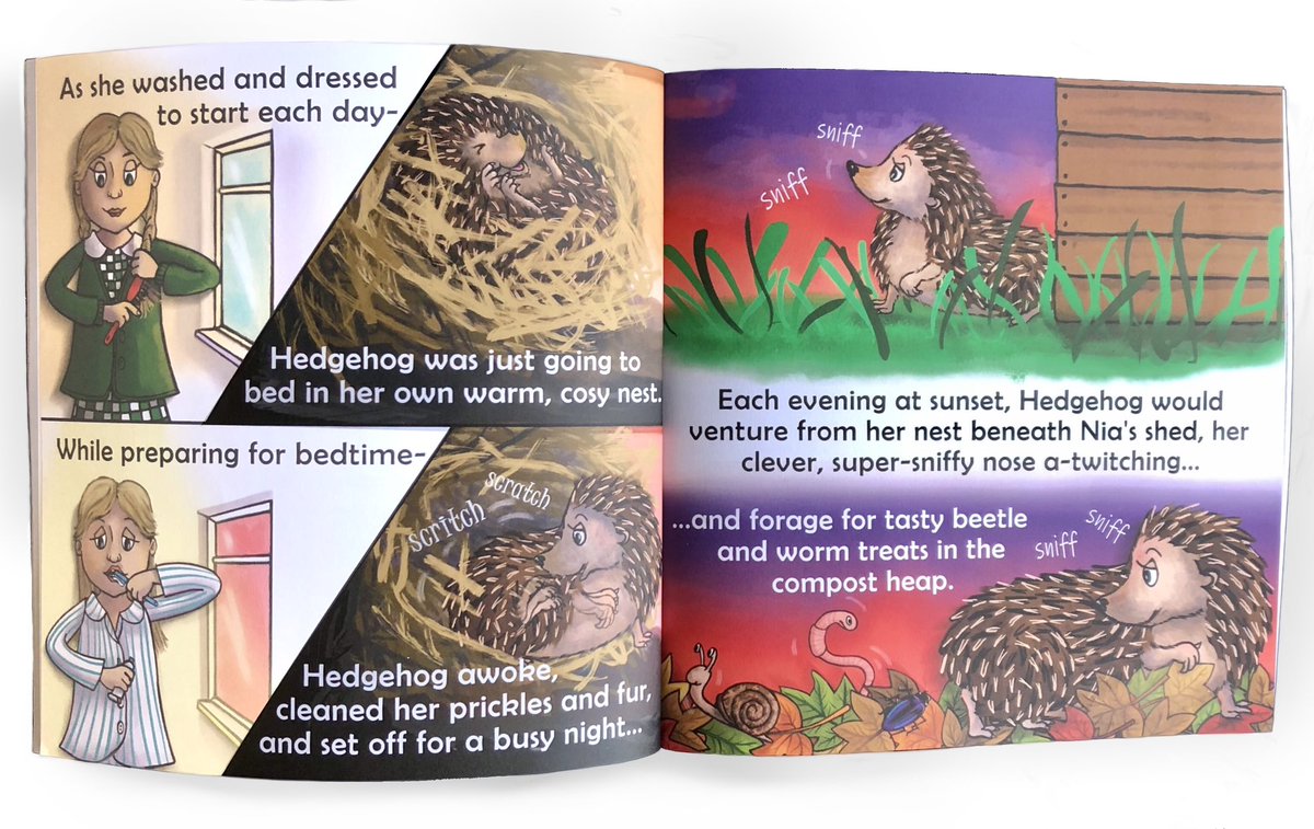 YewTreeTales's tweet photo. 📖 This story isn’t in rhyme but is still colourfully-illustrated, and features humans for the first time.

🦔💖 #Hedgehog had to be ‘hedgehoggy’ for once too, to properly act out real-life hog-habits and the hazards they face to survive. 

#pricklypalsinperilbook https://t.co/WfJyfgPcBk