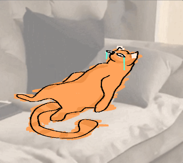 devcaat's tweet image. 