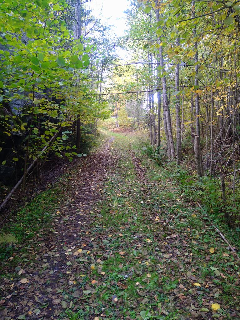 Lars_crona's tweet photo. Idag var vinden inte lika hård!! Fick bli en runda grus! #mb31 #gravelride 
#garmin #beatyesterday https://t.co/mN8snQAW03
