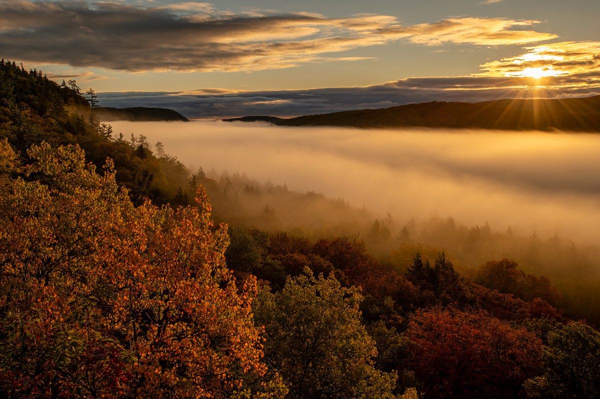 PureMichigan's tweet image. Sunrise above the clouds at... Lake of the Clouds. ☀☁ #FallFilter

📷: ishootmi on Instagram
📅: Oct. 14, 2023
#PureMichigan #UpperPeninsula