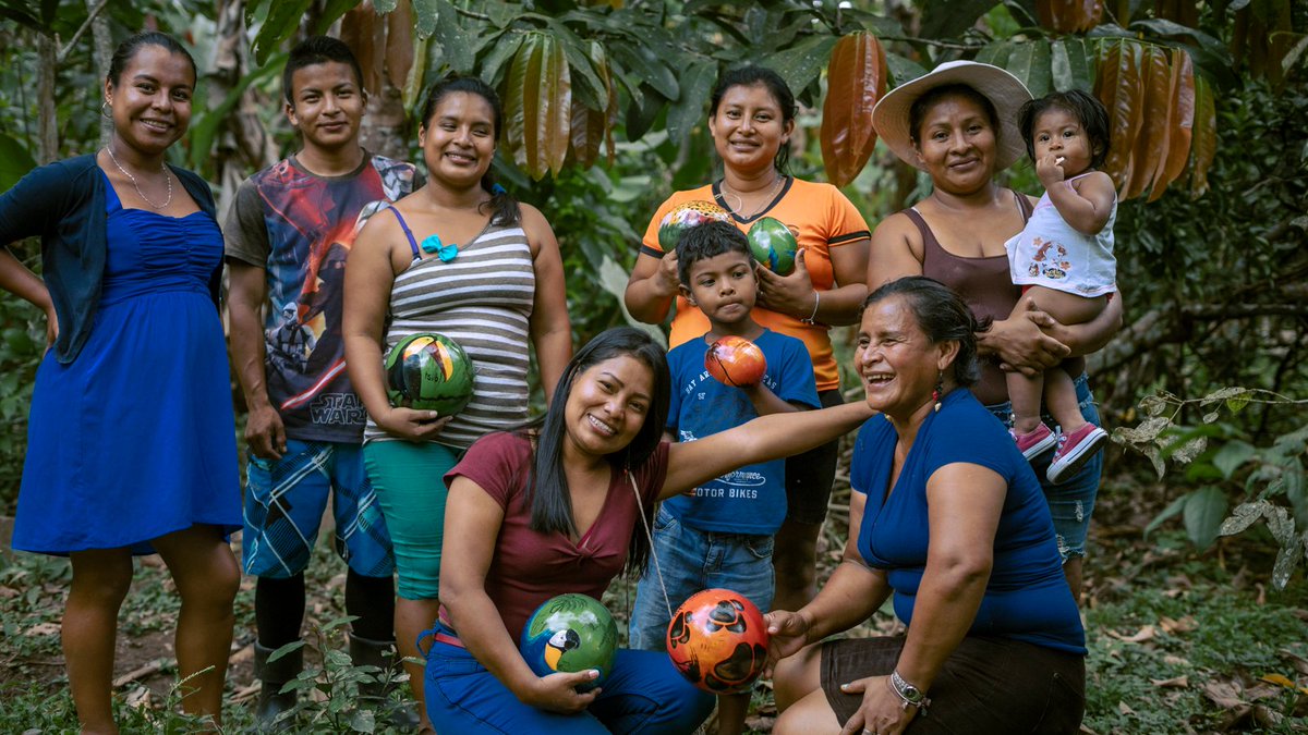 Achim Steiner tweet media